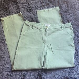 🍊Christopher & Banks Mint Green Chinos